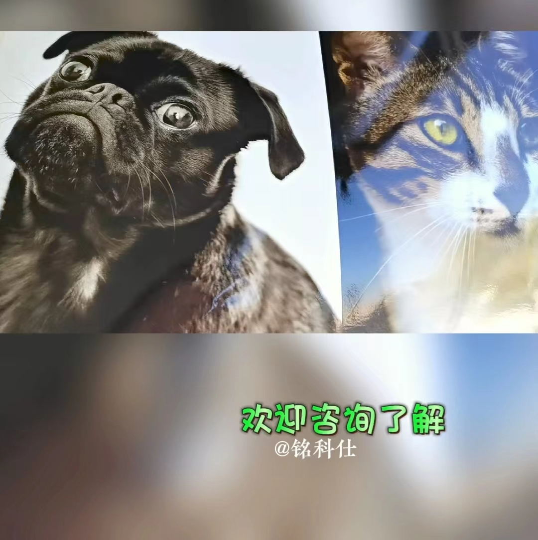 小型uv平板打印機，有圖就能打印，無需制板支持小批量個性定制