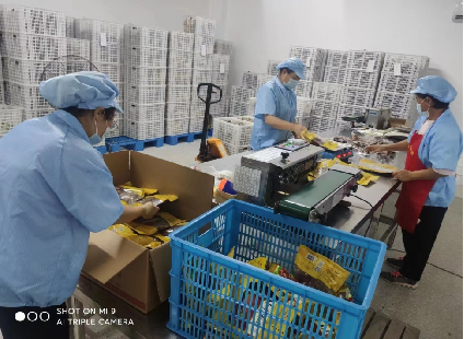 在江湖混战中“成长”的衢州鸭头,要如何才能跻身美食顶流(图3) 在江湖混战中“成长”的衢州鸭头,要如何才能跻身美食顶流(图3)