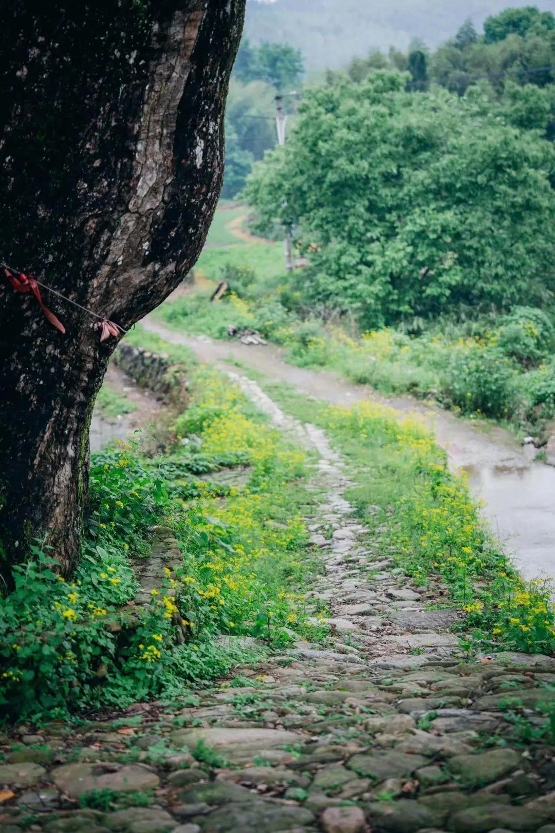 它是江浙沪最没存在感的城市,景区更是免费,出名的却只有鸭头!(图18) 它是江浙沪最没存在感的城市,景区更是免费,出名的却只有鸭头!(图18)
